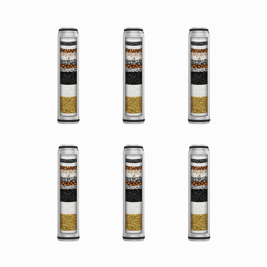 6 Pack Replacement Filters